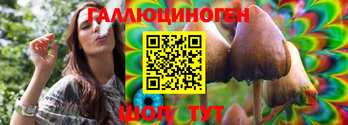 Галлюциногенные грибы Cubensis Туапсе